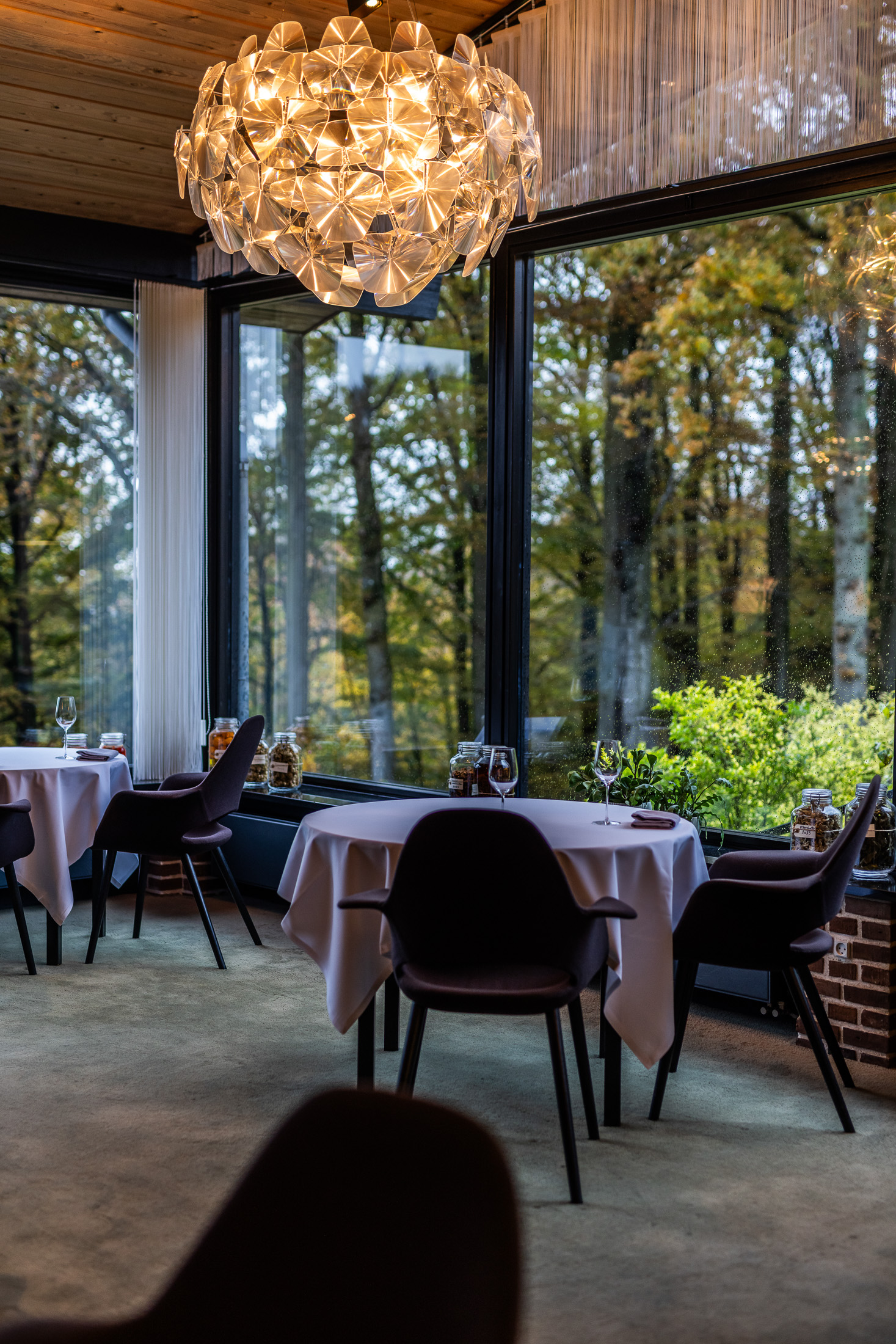 Treetop restauranten munkebjerg hotel